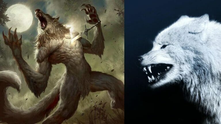 what is the difference between lycan and werewolf