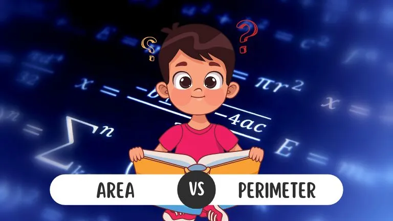 What Is The Difference Between Area And Perimeter?