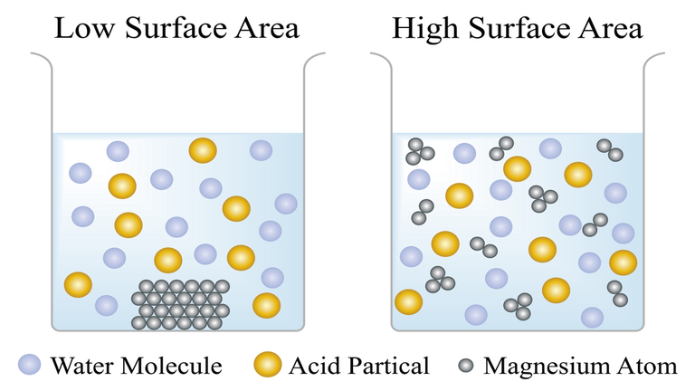 surface area