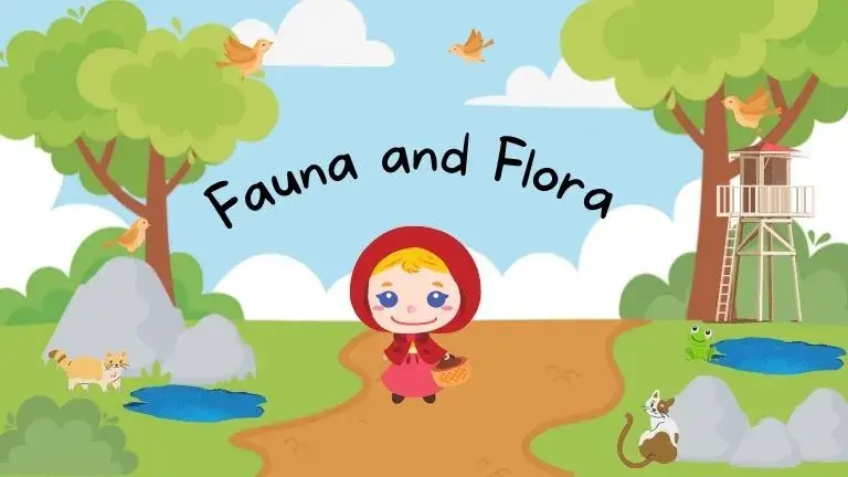 What Are The Differences Between Flora And Fauna
