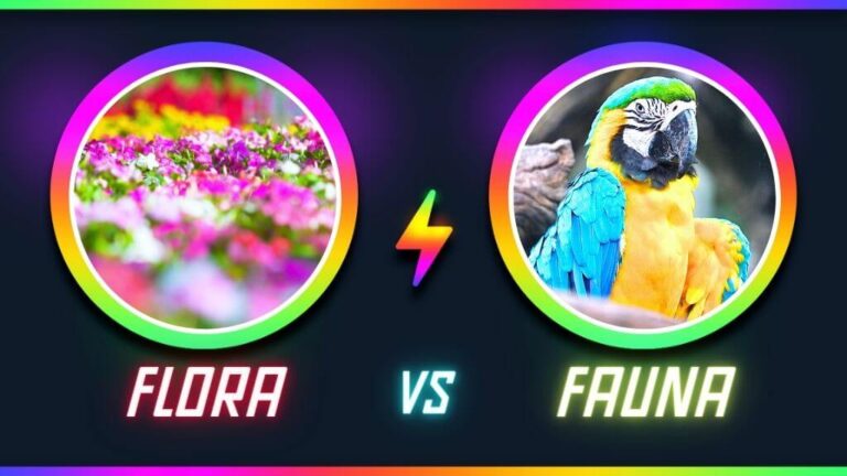 what is the difference between flora and fauna