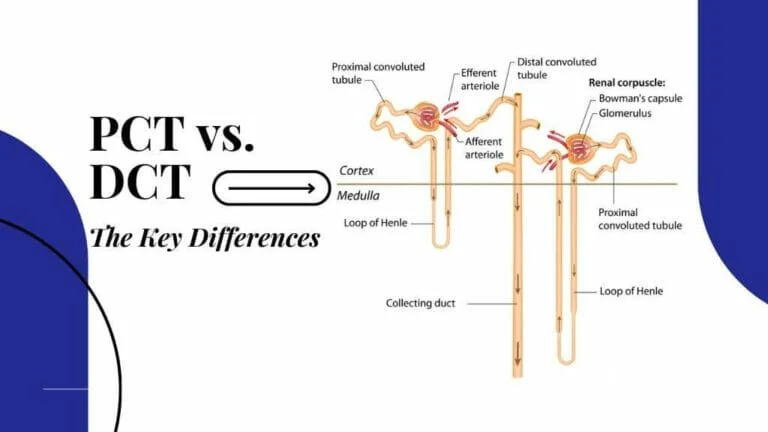 what is the difference between pct and dct