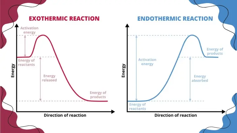endothermic vs exothermic graph