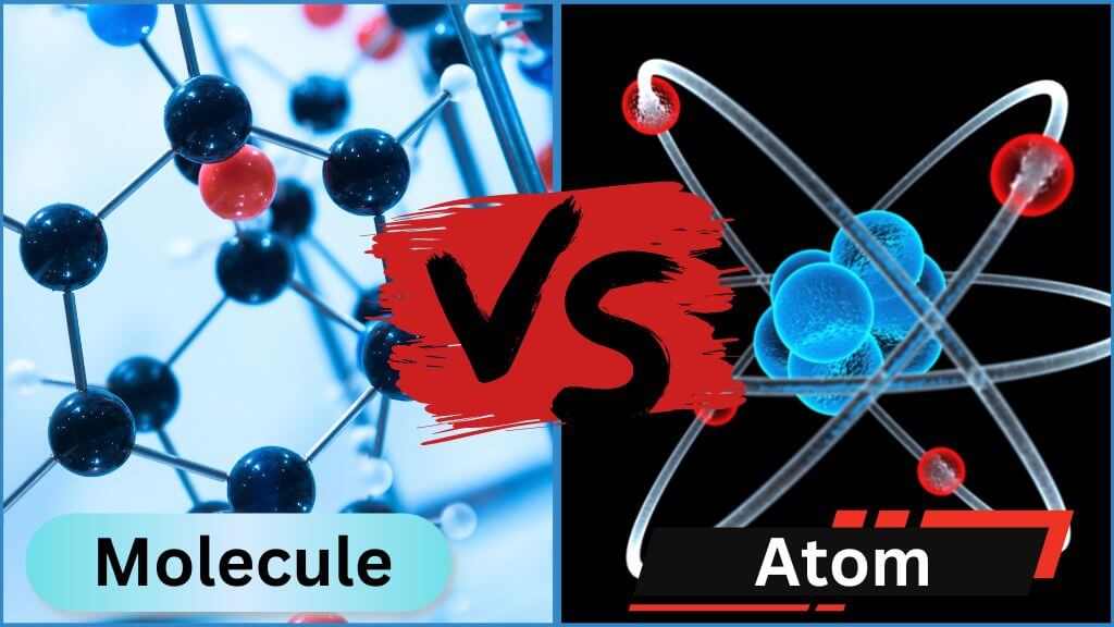 What Is The Difference Between A Molecule And An Atom?