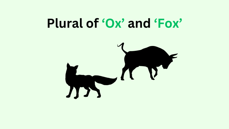 What Are the Plurals of ‘Ox’ and ‘Fox’? Why ‘Oxen’ and ‘Foxes’?